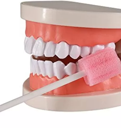 Disposable Toothettes Oral Care Swabs