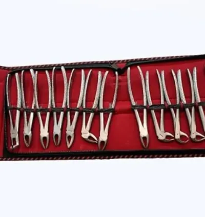 14-Piece Stainless Steel Tooth Extraction Forceps Set for Dentists